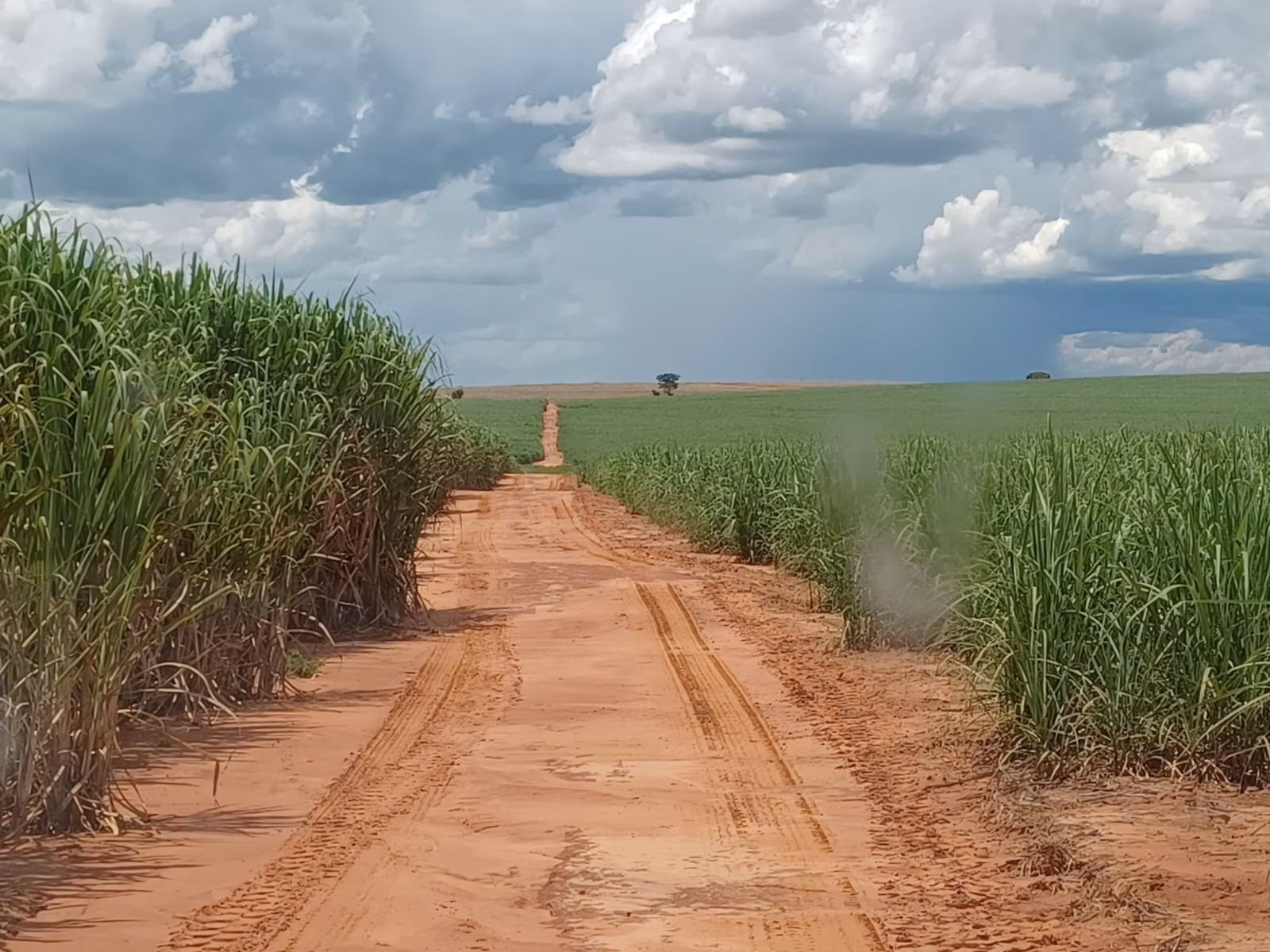 Fazenda de 663 ha em Pacaembu, SP