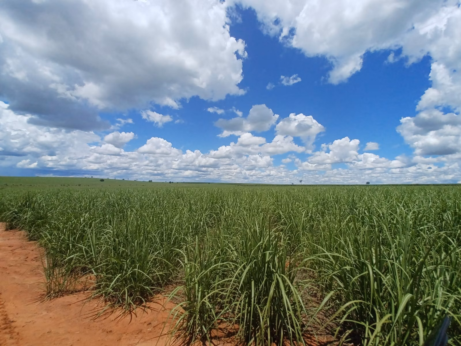 Fazenda de 663 ha em Pacaembu, SP