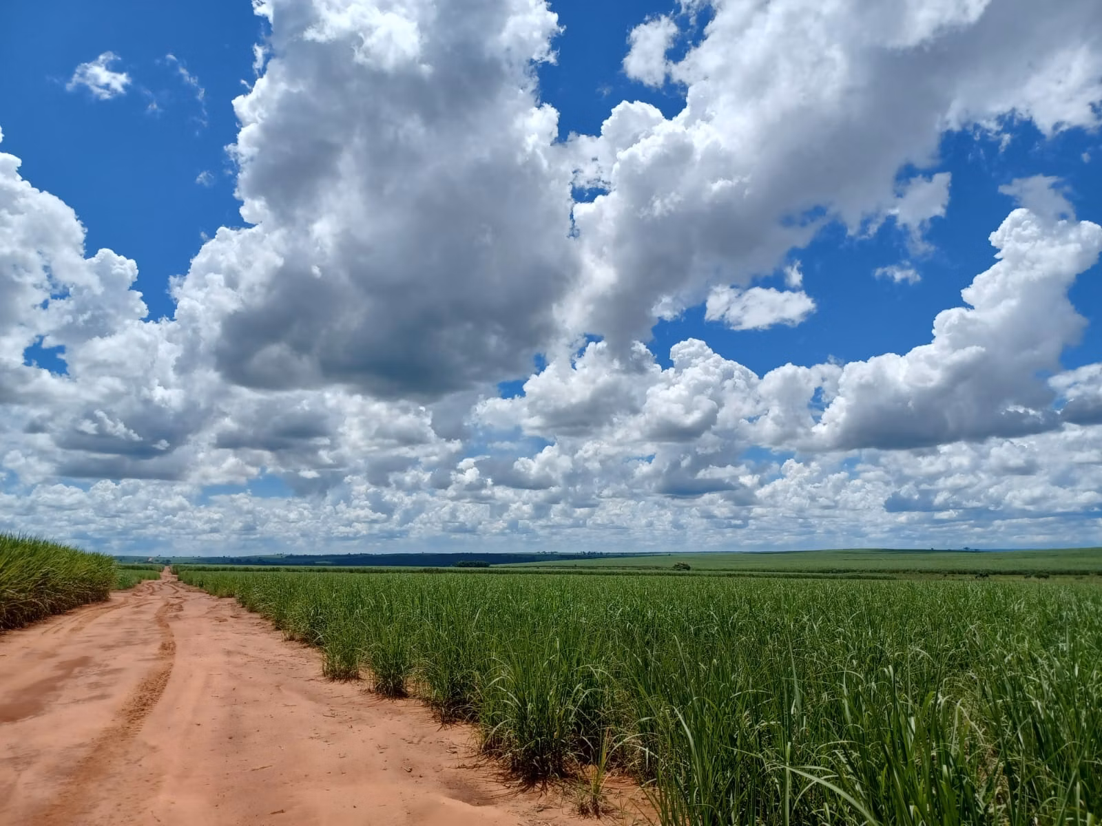 Fazenda de 663 ha em Pacaembu, SP