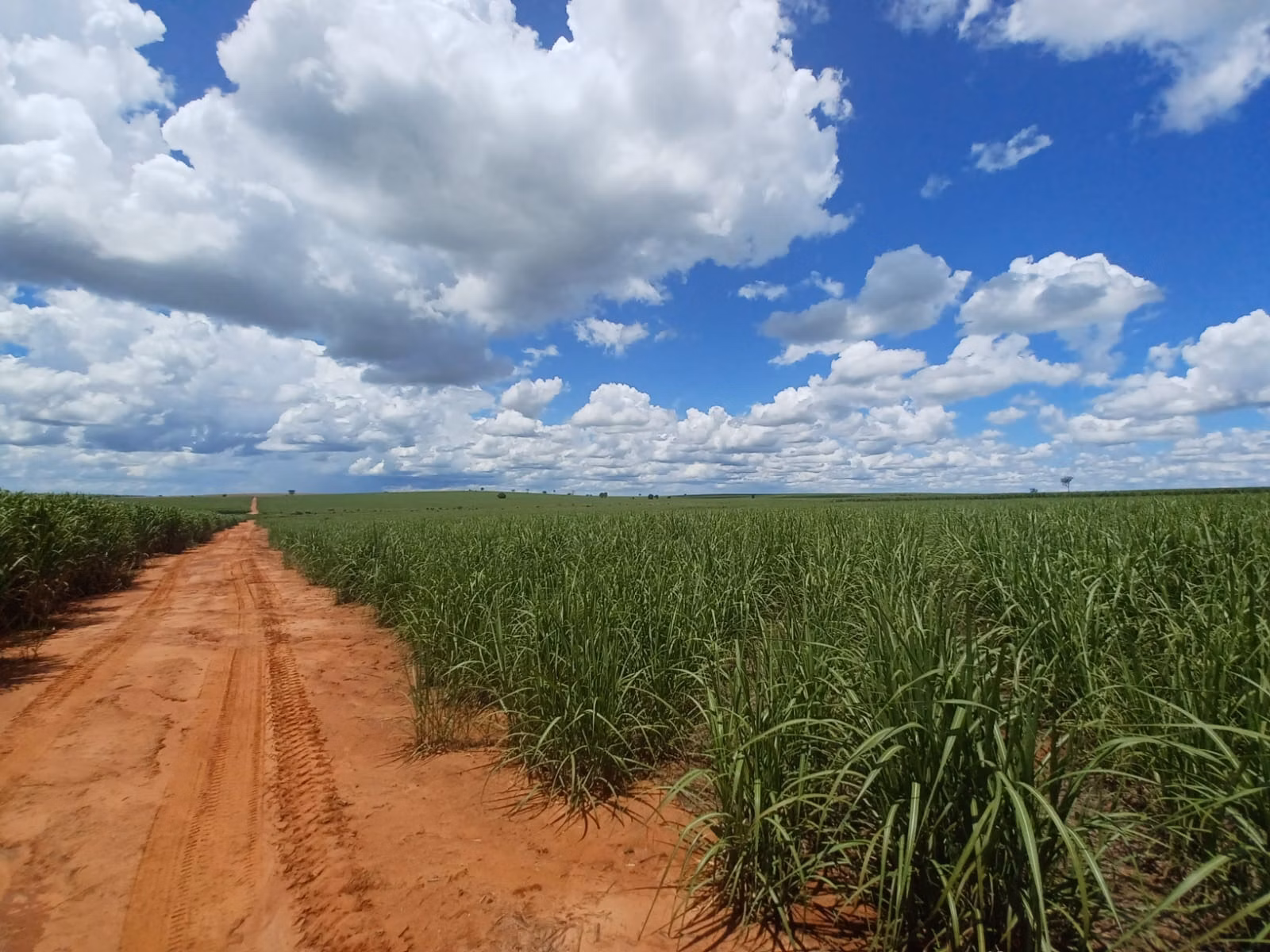 Fazenda de 663 ha em Pacaembu, SP