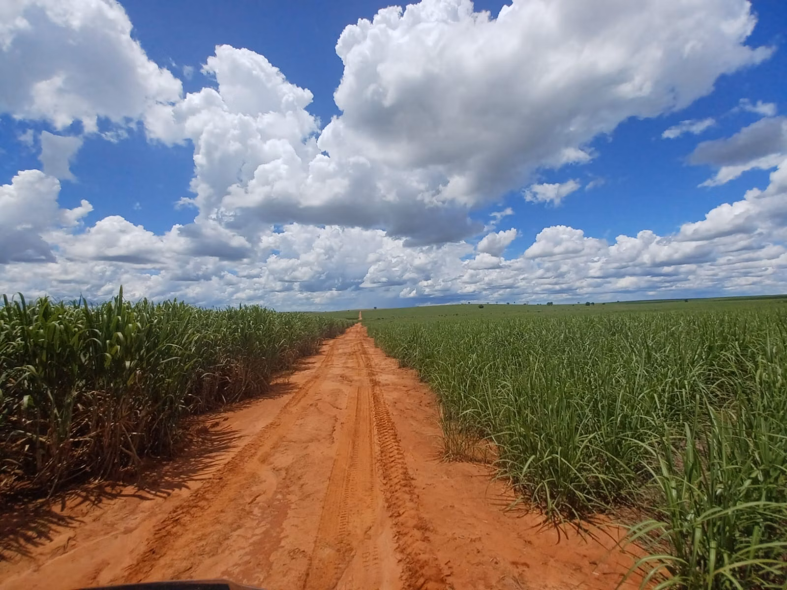 Fazenda de 663 ha em Pacaembu, SP