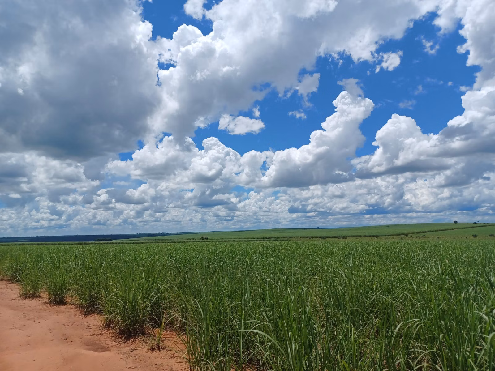Fazenda de 663 ha em Pacaembu, SP