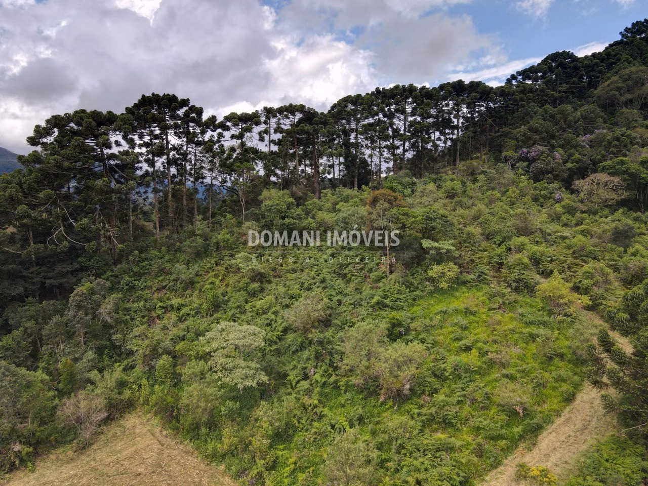 Terreno de 2 ha em Sapucaí-Mirim, MG