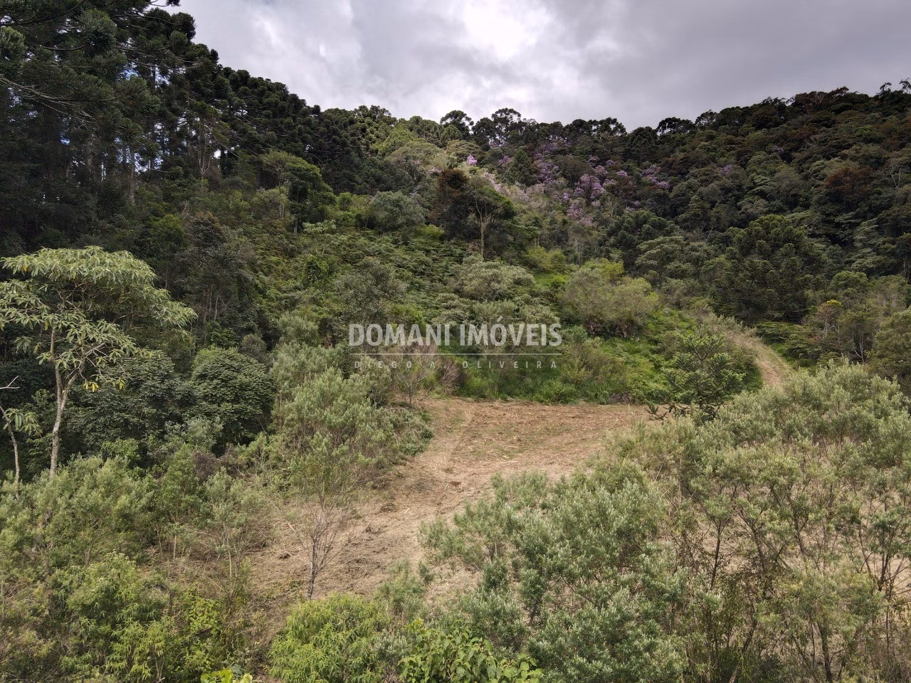 Terreno de 2 ha em Sapucaí-Mirim, MG