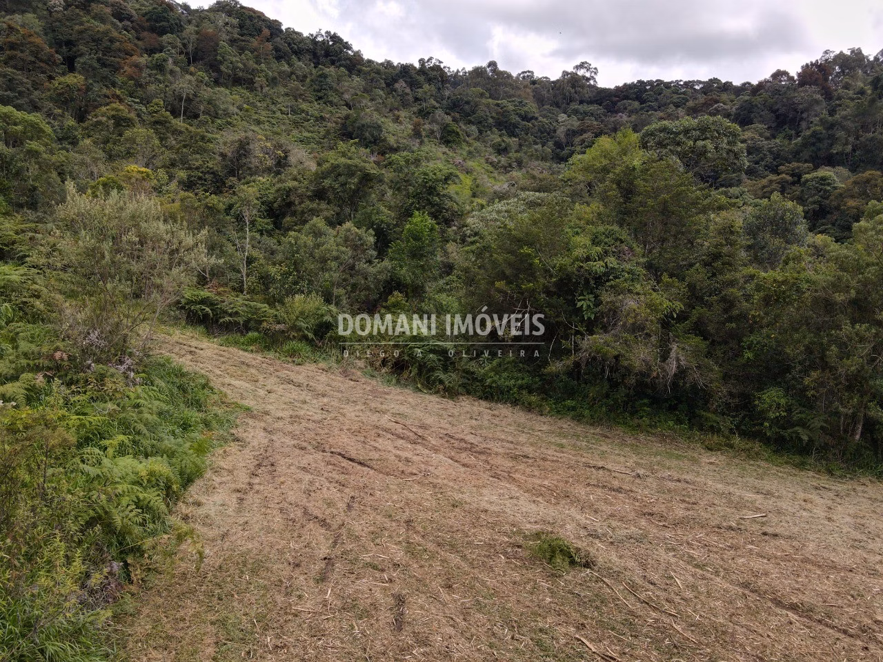 Terreno de 2 ha em Sapucaí-Mirim, MG