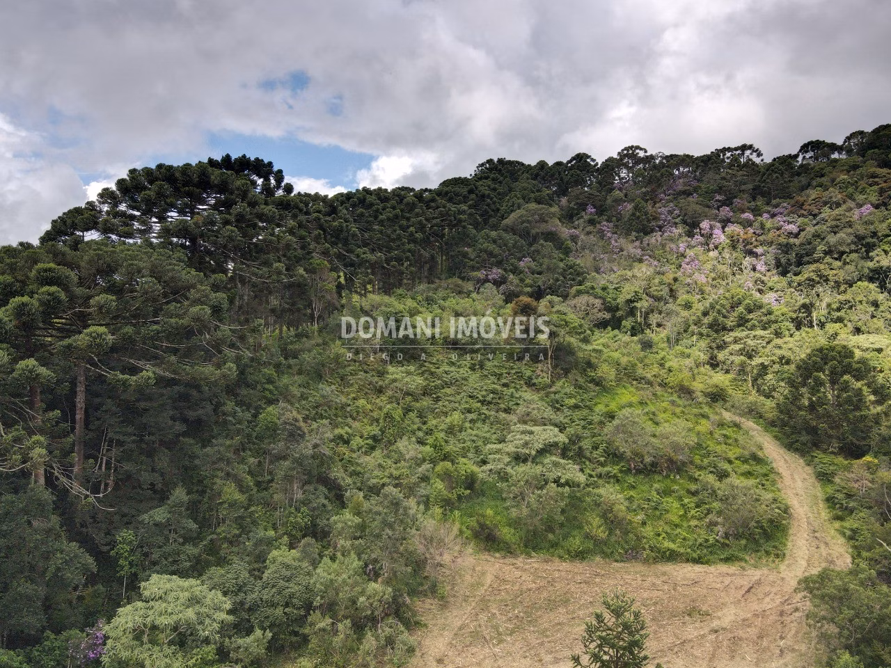 Terreno de 2 ha em Sapucaí-Mirim, MG