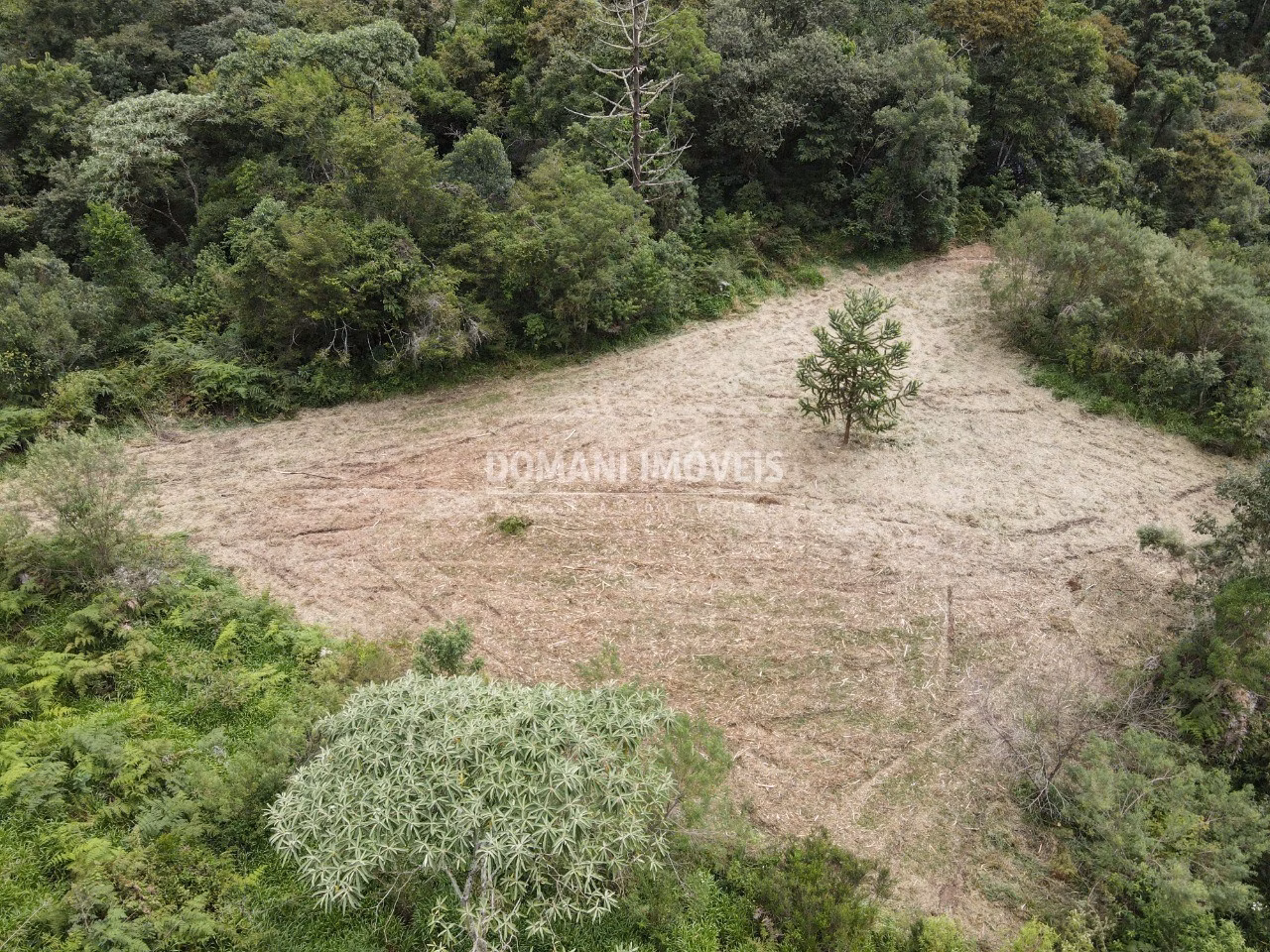 Terreno de 2 ha em Sapucaí-Mirim, MG