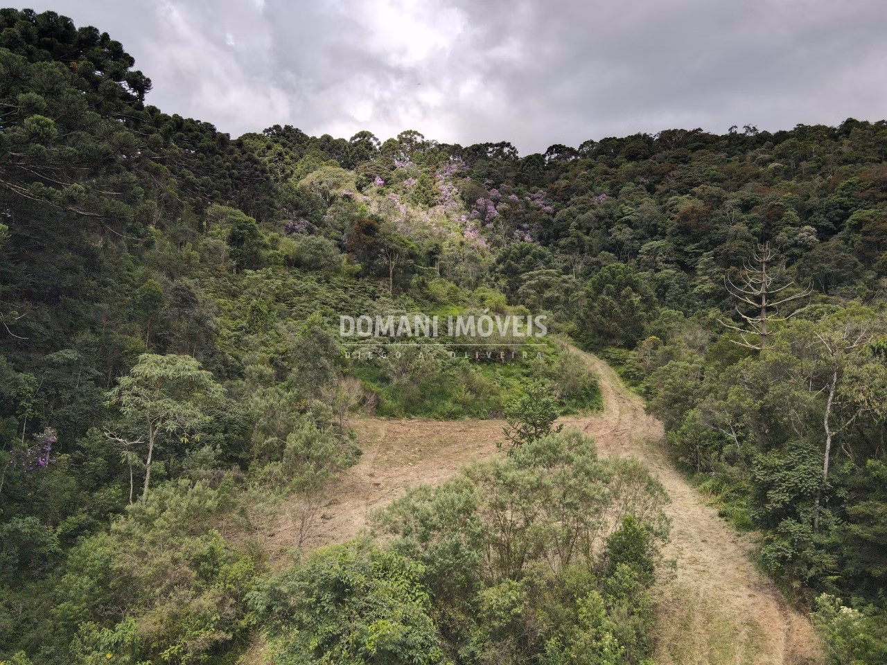 Terreno de 2 ha em Sapucaí-Mirim, MG