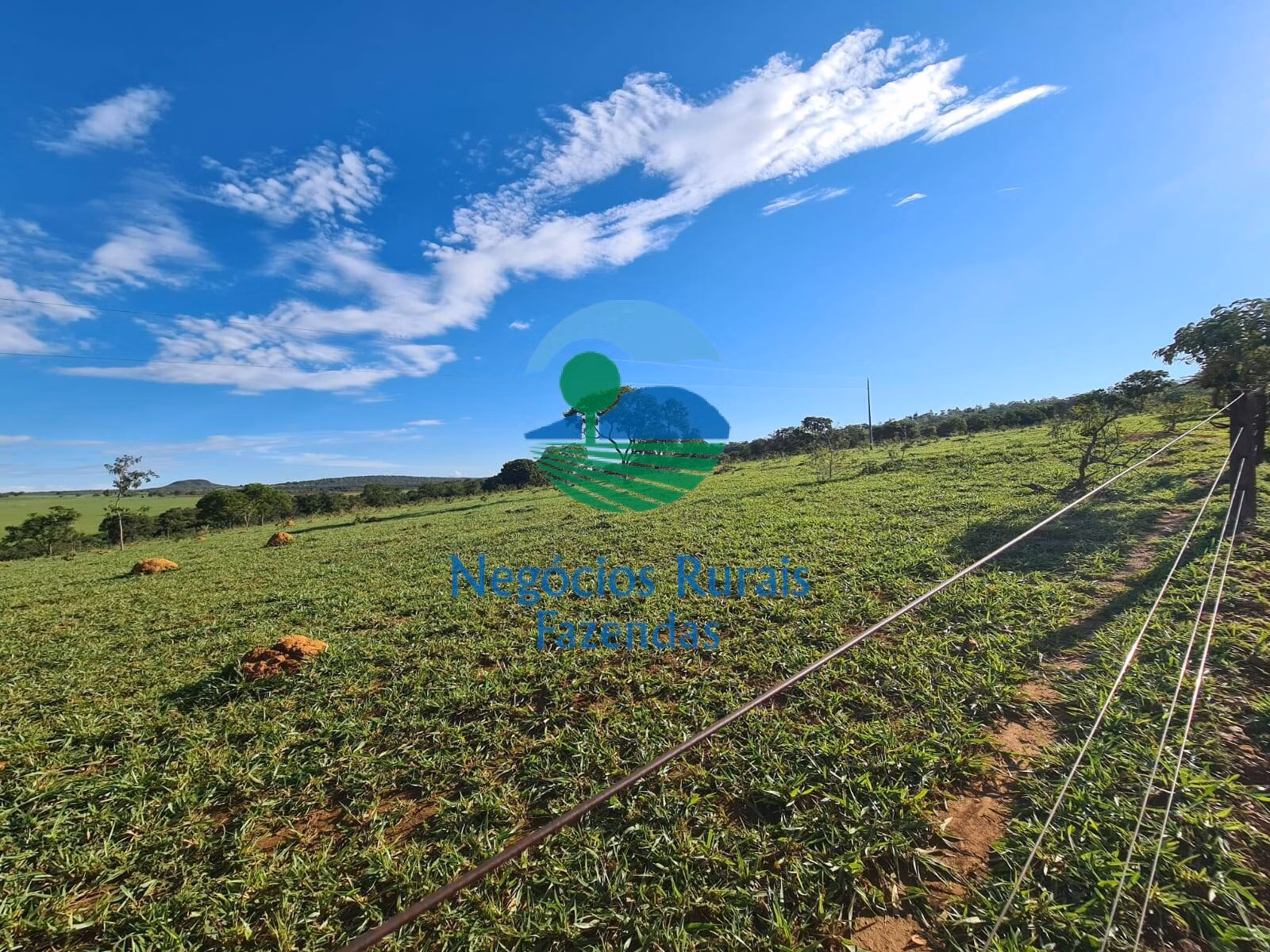 Fazenda de 532 ha em Pires do Rio, GO