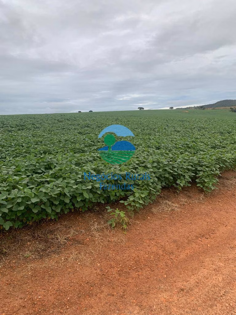 Fazenda de 532 ha em Pires do Rio, GO