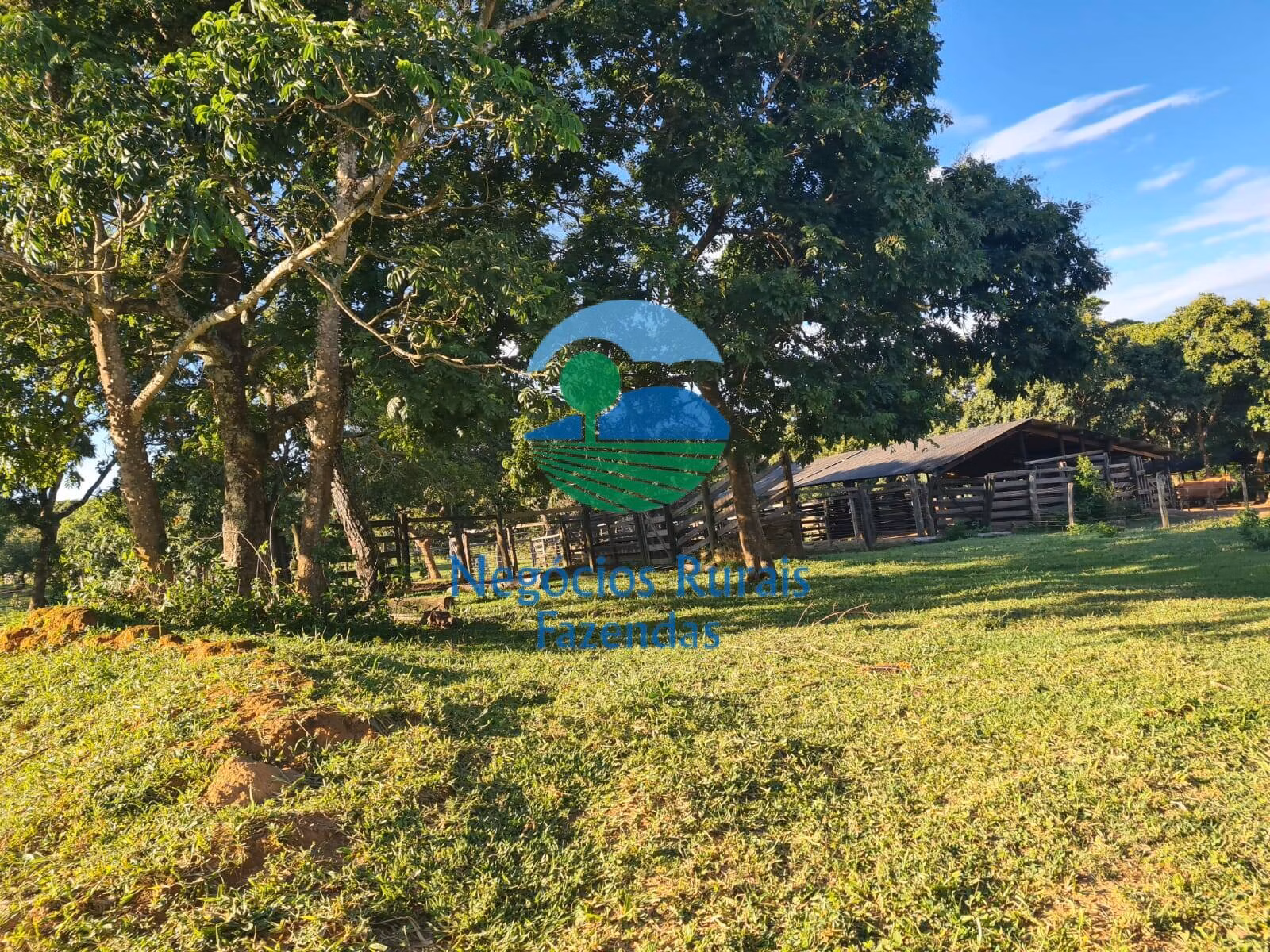 Fazenda de 532 ha em Pires do Rio, GO