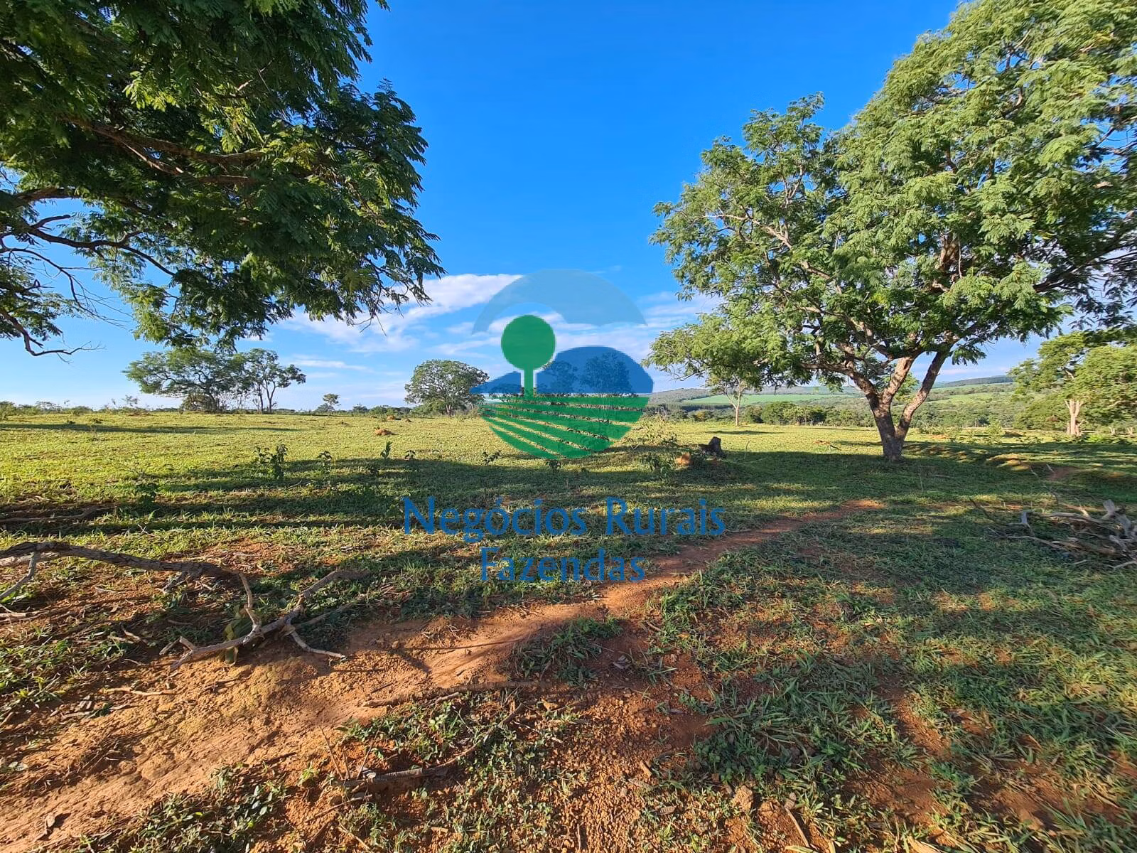 Fazenda de 532 ha em Pires do Rio, GO