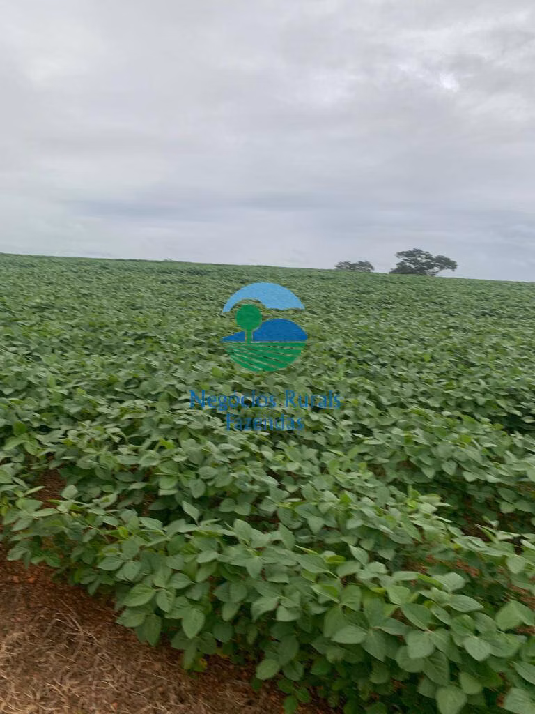 Fazenda de 532 ha em Pires do Rio, GO
