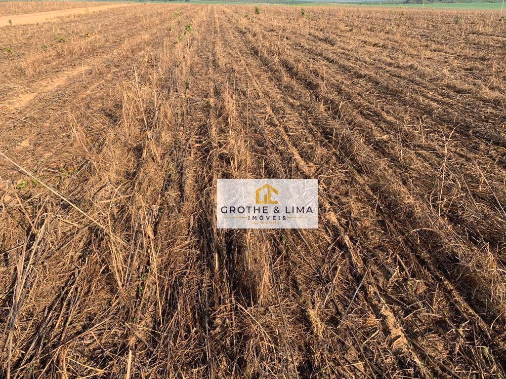 Fazenda de 4.678 ha em Santa Rosa do Tocantins, TO