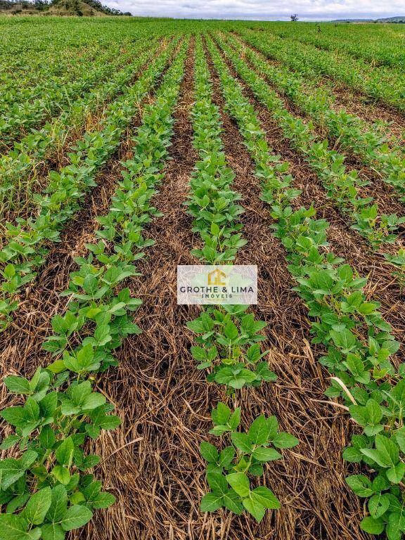 Fazenda de 4.678 ha em Santa Rosa do Tocantins, TO