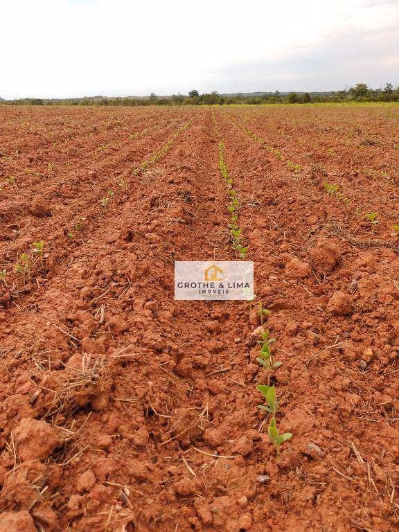 Fazenda de 4.678 ha em Santa Rosa do Tocantins, TO