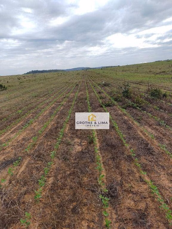 Fazenda de 4.678 ha em Santa Rosa do Tocantins, TO