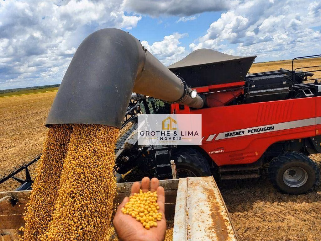 Fazenda de 4.678 ha em Santa Rosa do Tocantins, TO