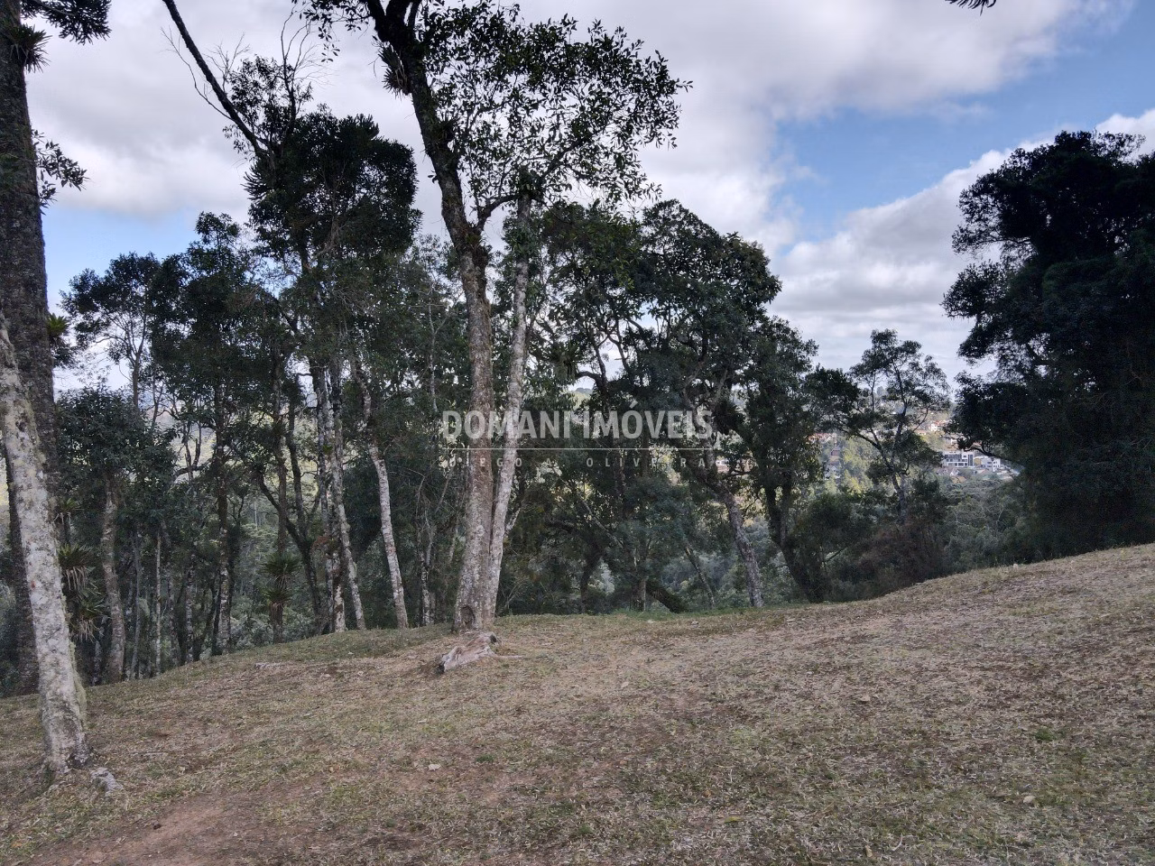 Plot of 1,115 m² in Campos do Jordão, SP, Brazil