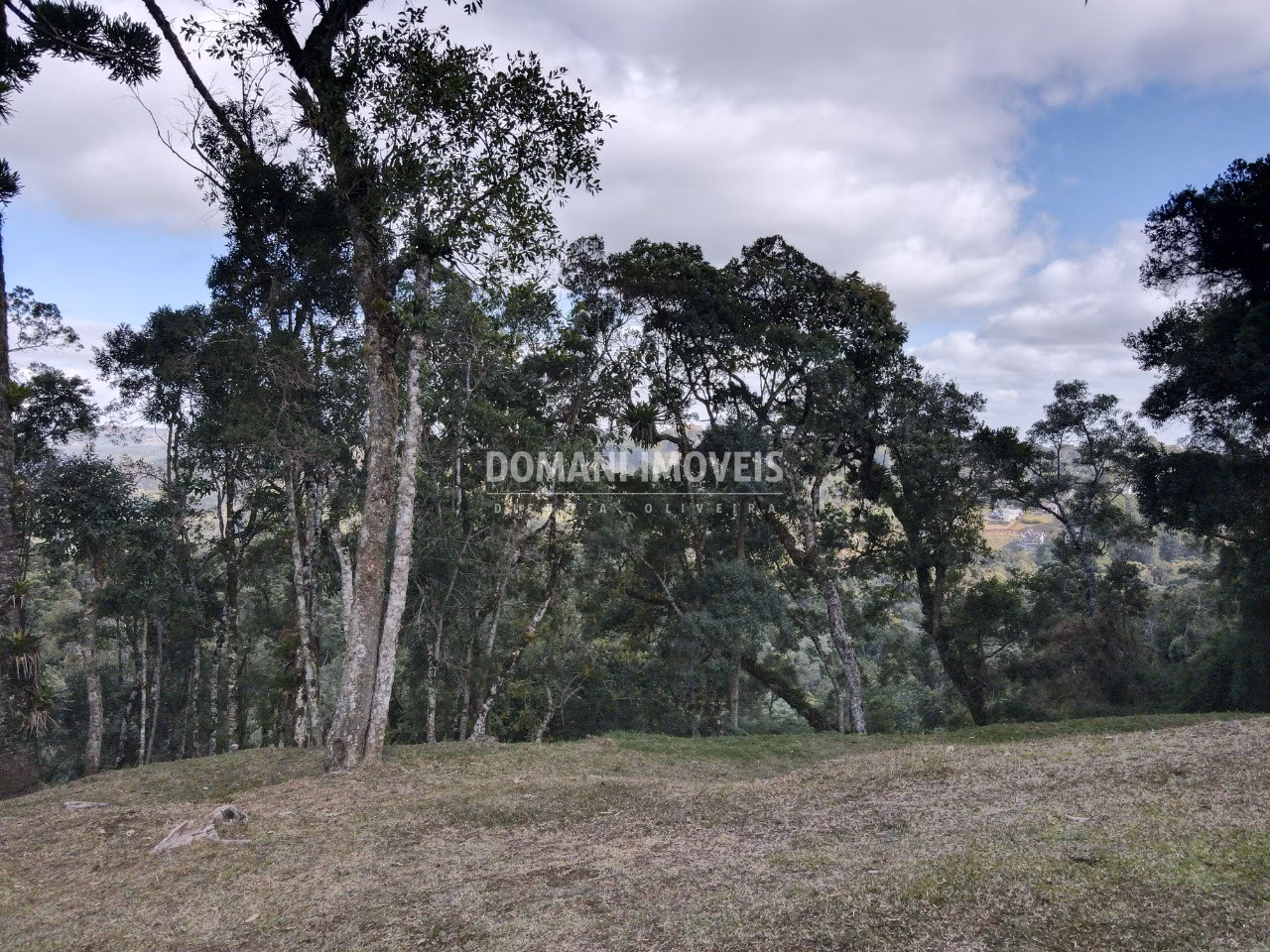 Plot of 1,115 m² in Campos do Jordão, SP, Brazil