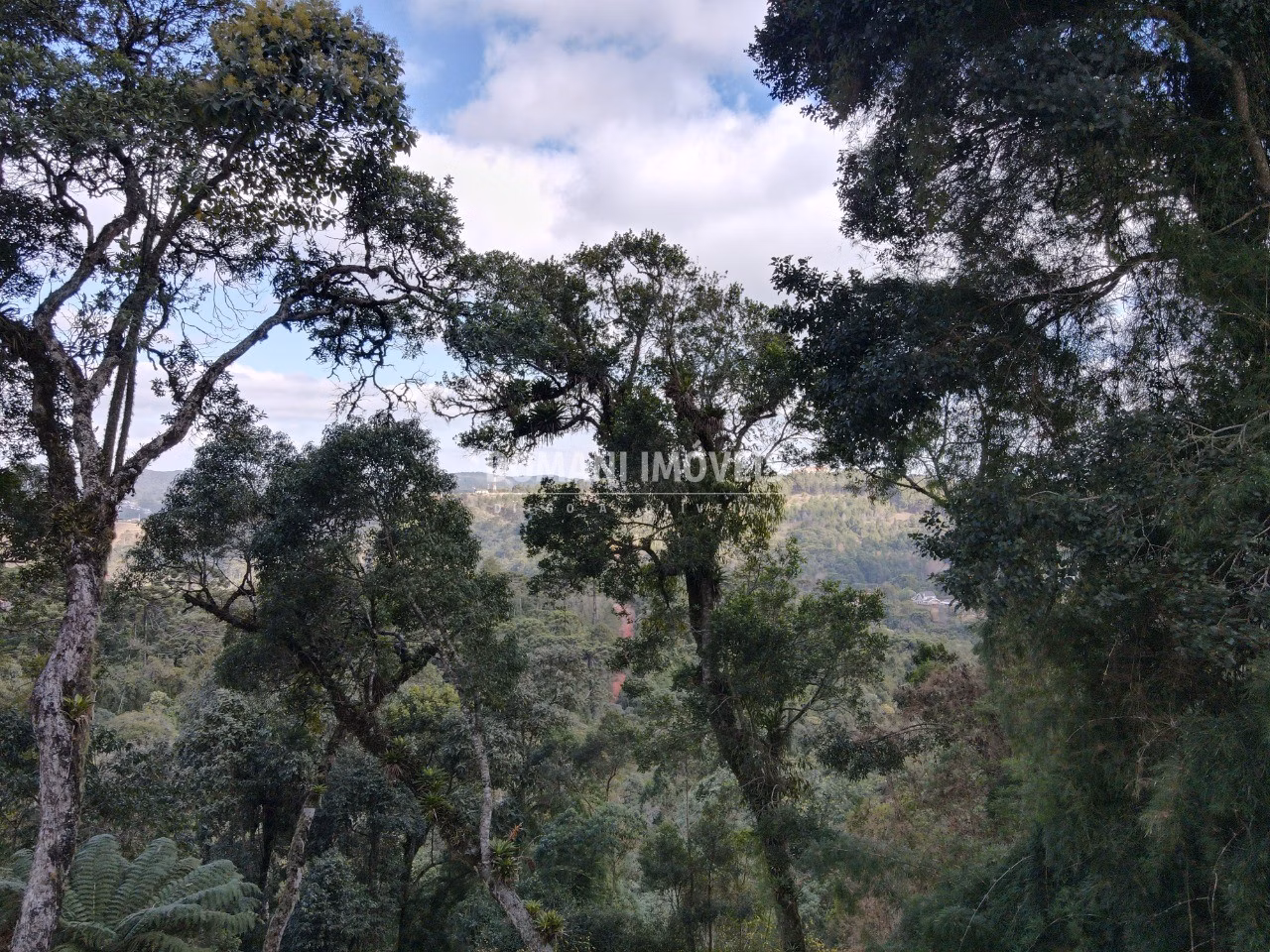 Plot of 1,115 m² in Campos do Jordão, SP, Brazil
