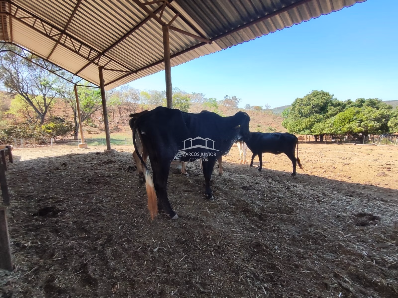 Sítio de 50 ha em Montes Claros, MG