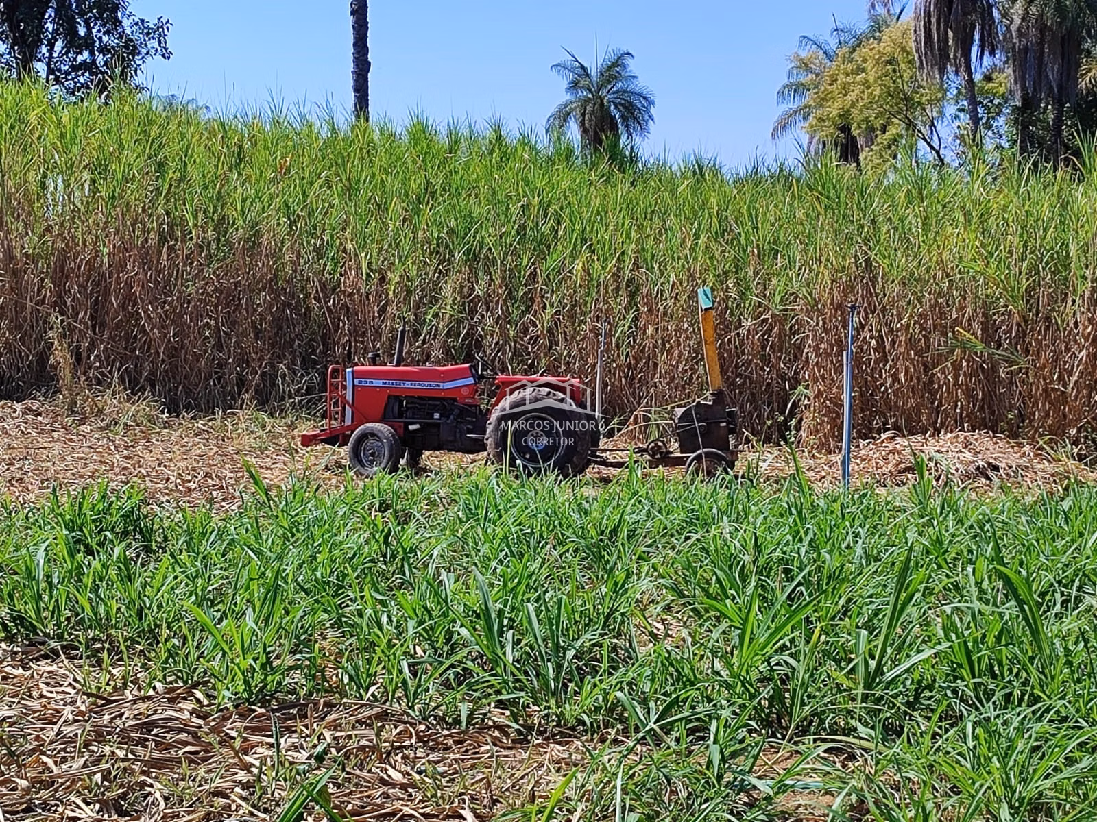Sítio de 50 ha em Montes Claros, MG