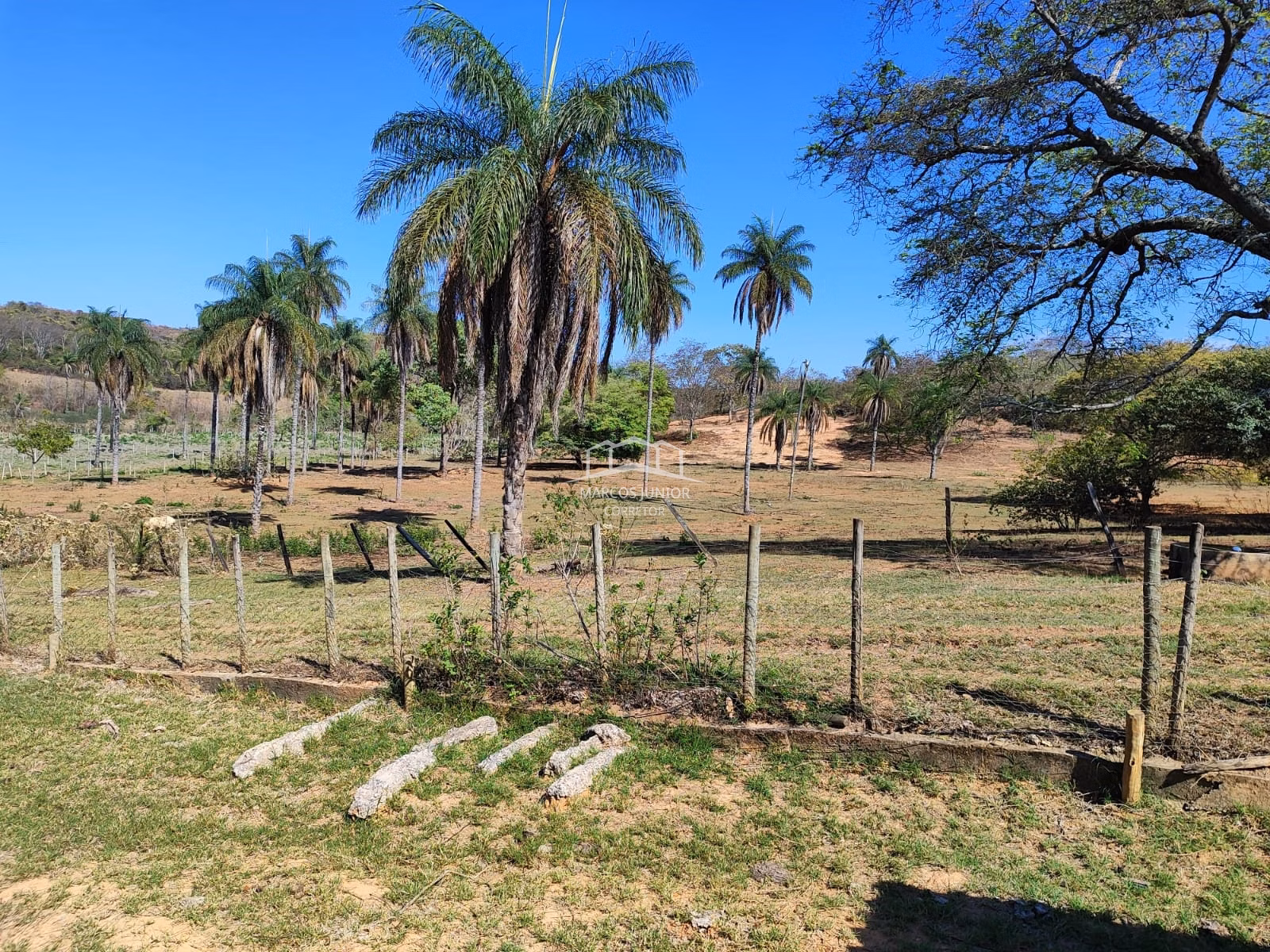 Sítio de 50 ha em Montes Claros, MG