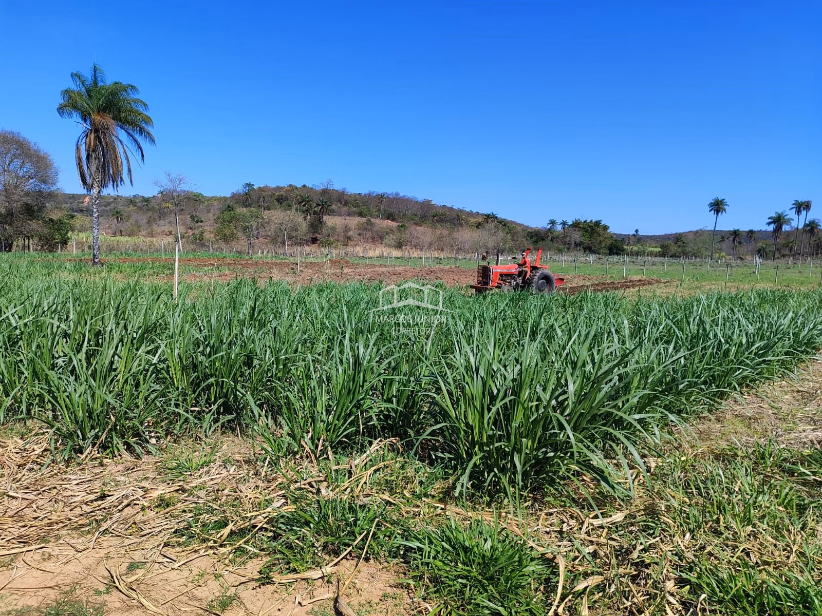 Sítio de 50 ha em Montes Claros, MG