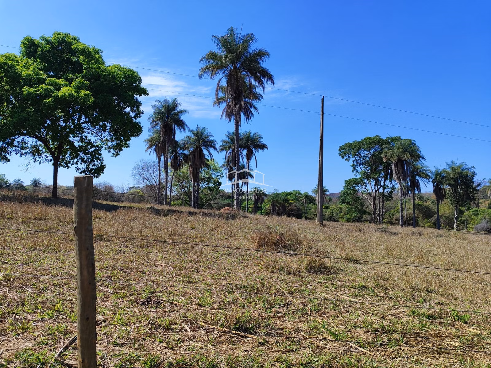 Sítio de 50 ha em Montes Claros, MG