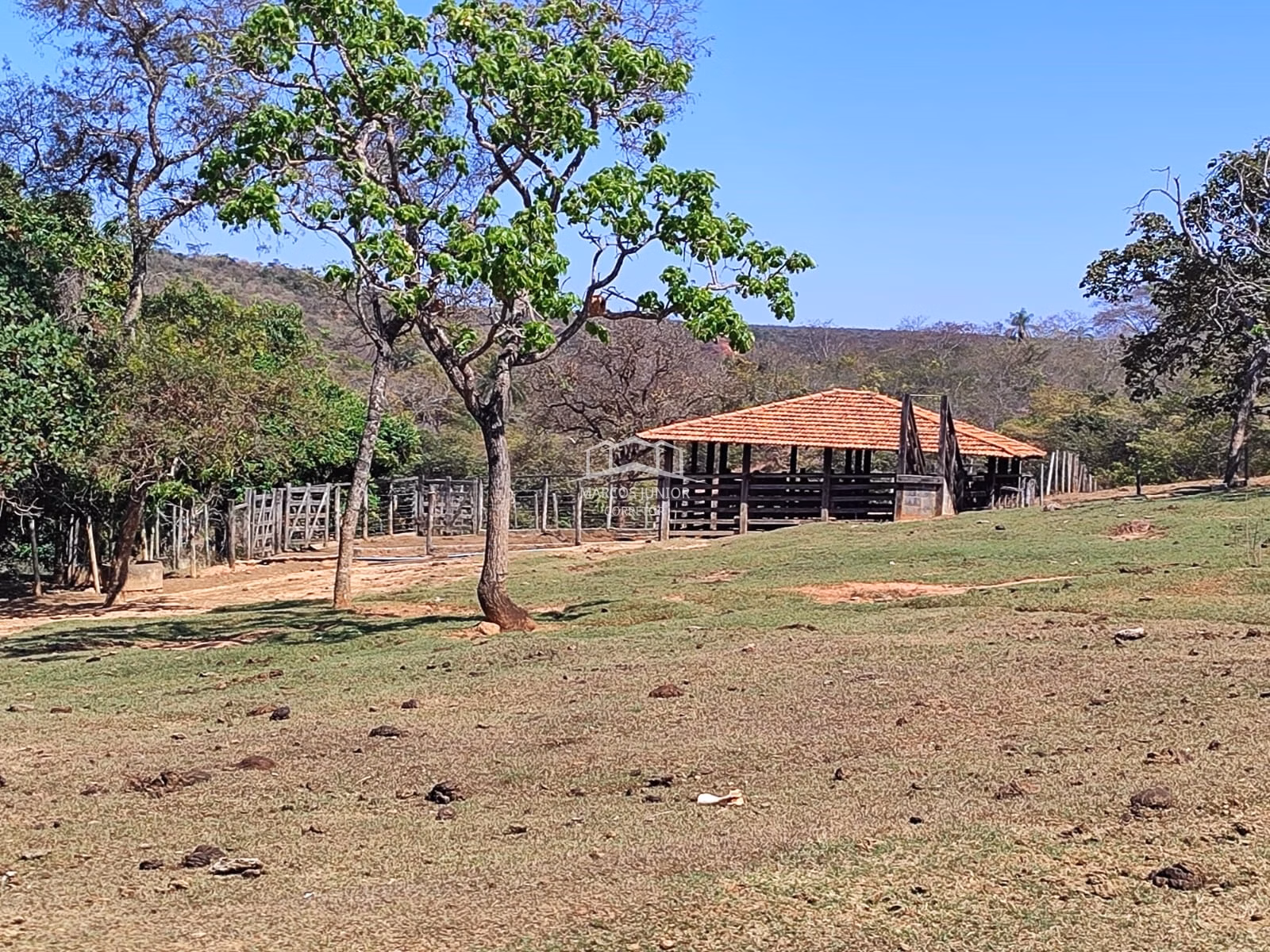 Sítio de 50 ha em Montes Claros, MG