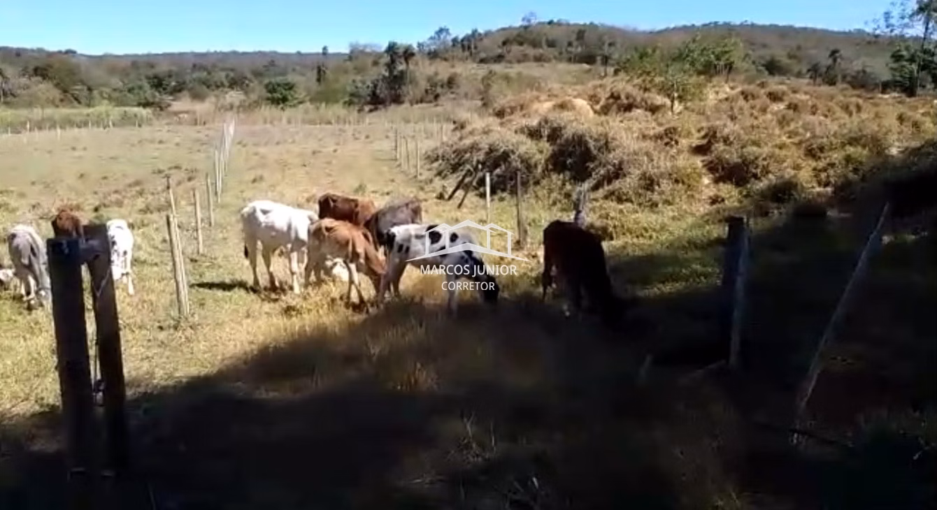Sítio de 50 ha em Montes Claros, MG