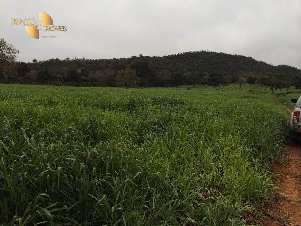 Fazenda de 1.000 ha em Cuiabá, MT