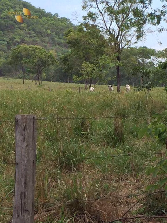 Fazenda de 1.000 ha em Cuiabá, MT