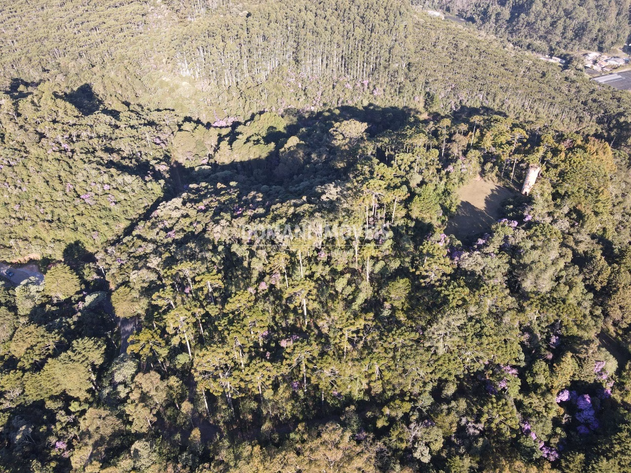 Plot of 1,380 m² in Campos do Jordão, SP, Brazil