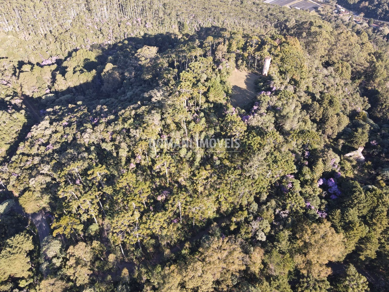 Plot of 1,380 m² in Campos do Jordão, SP, Brazil