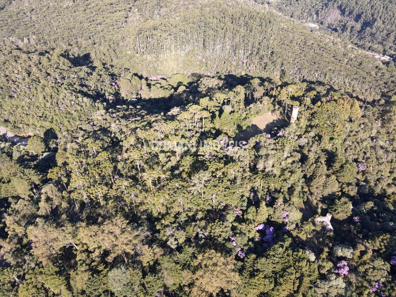 Plot of 1,380 m² in Campos do Jordão, SP, Brazil