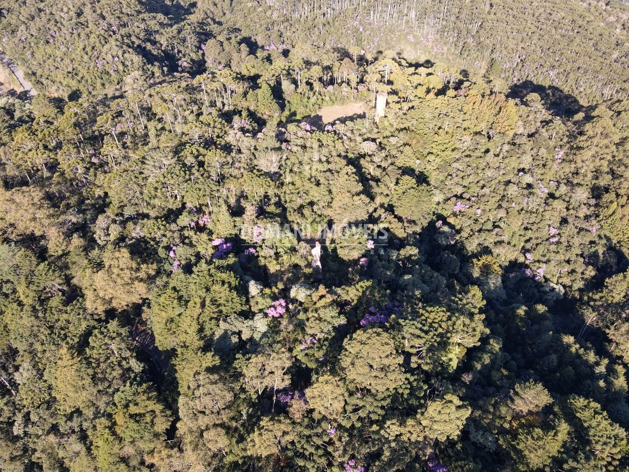 Plot of 1,380 m² in Campos do Jordão, SP, Brazil
