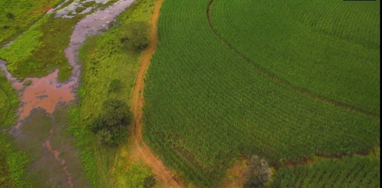 Fazenda de 194 ha em Quadra, SP