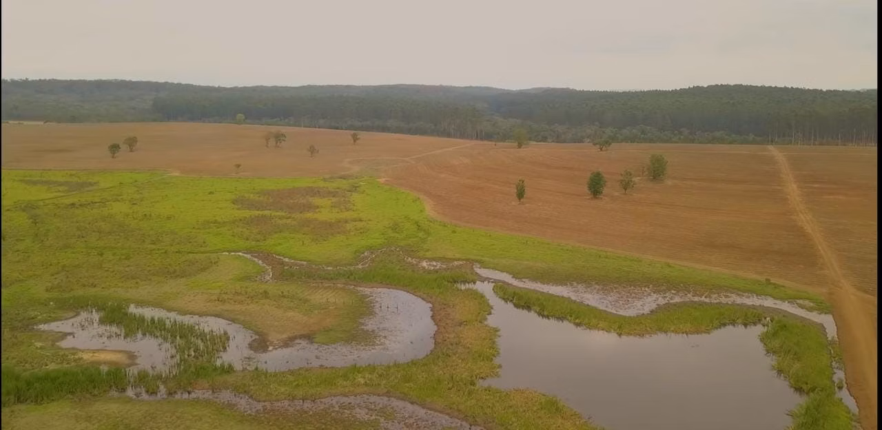 Farm of 478 acres in Quadra, SP, Brazil