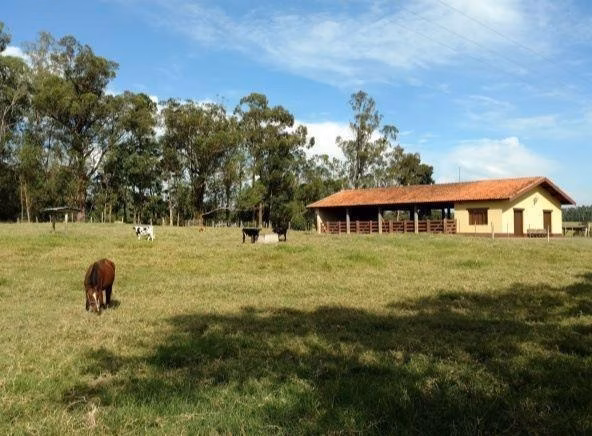 Fazenda de 194 ha em Quadra, SP