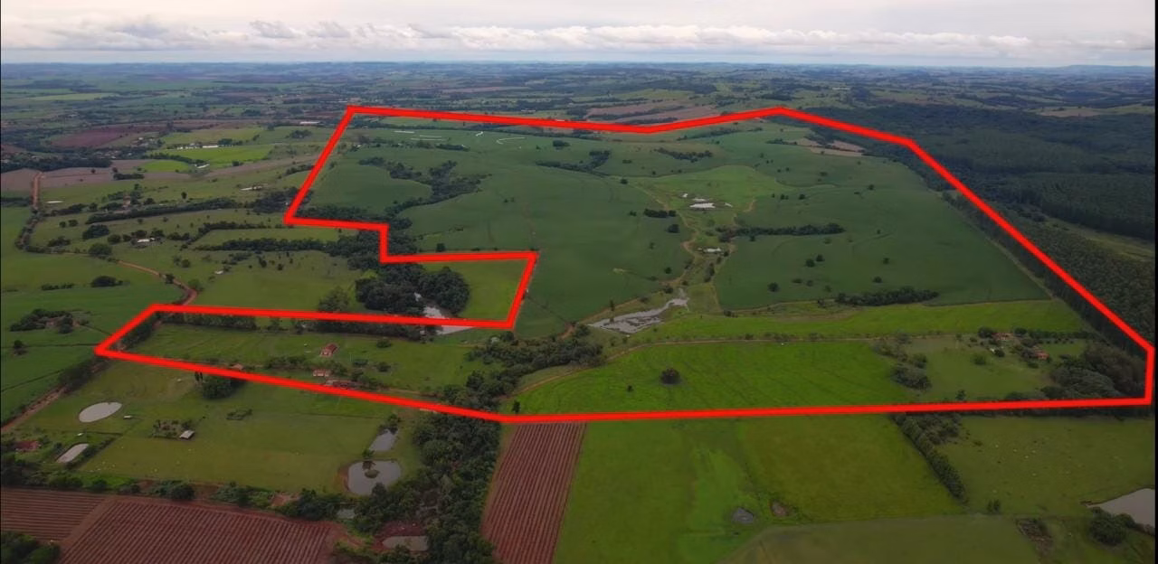Farm of 478 acres in Quadra, SP, Brazil