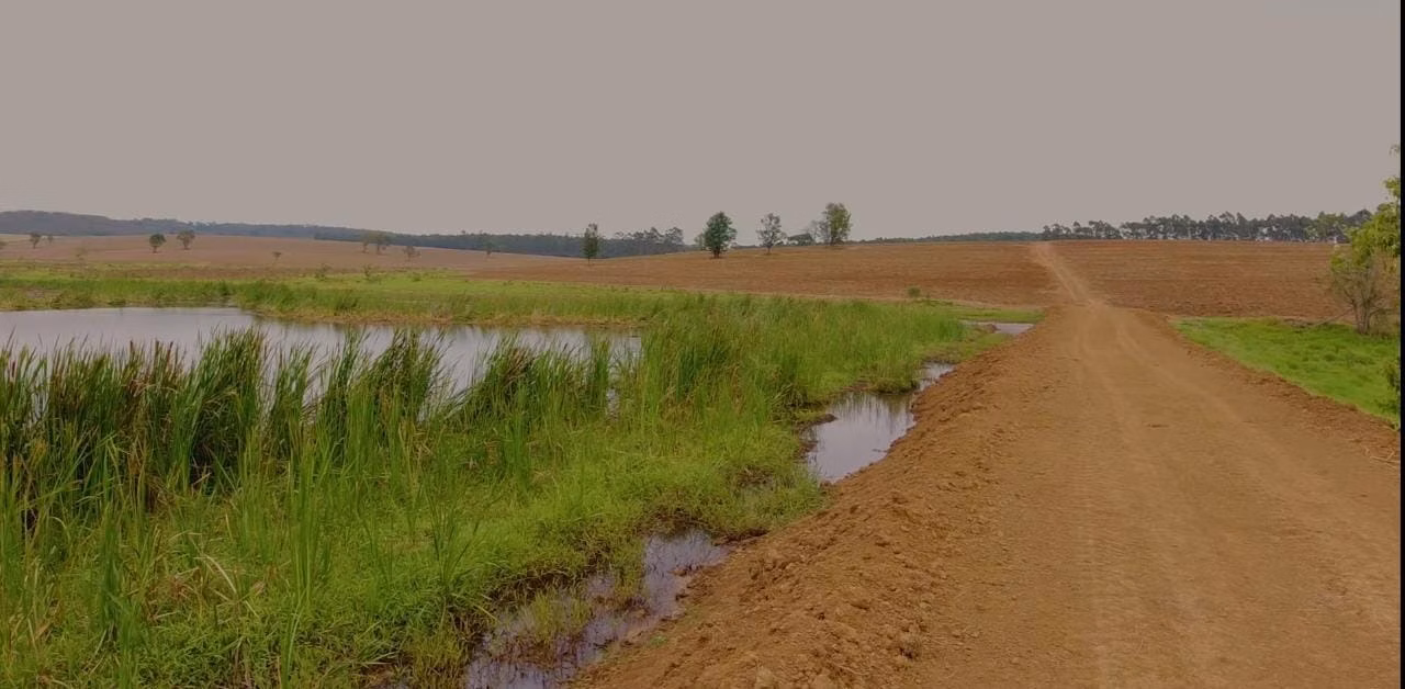 Fazenda de 194 ha em Quadra, SP
