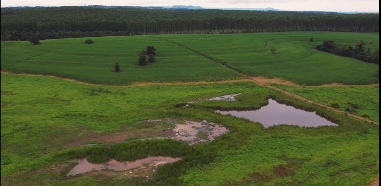 Fazenda de 194 ha em Quadra, SP