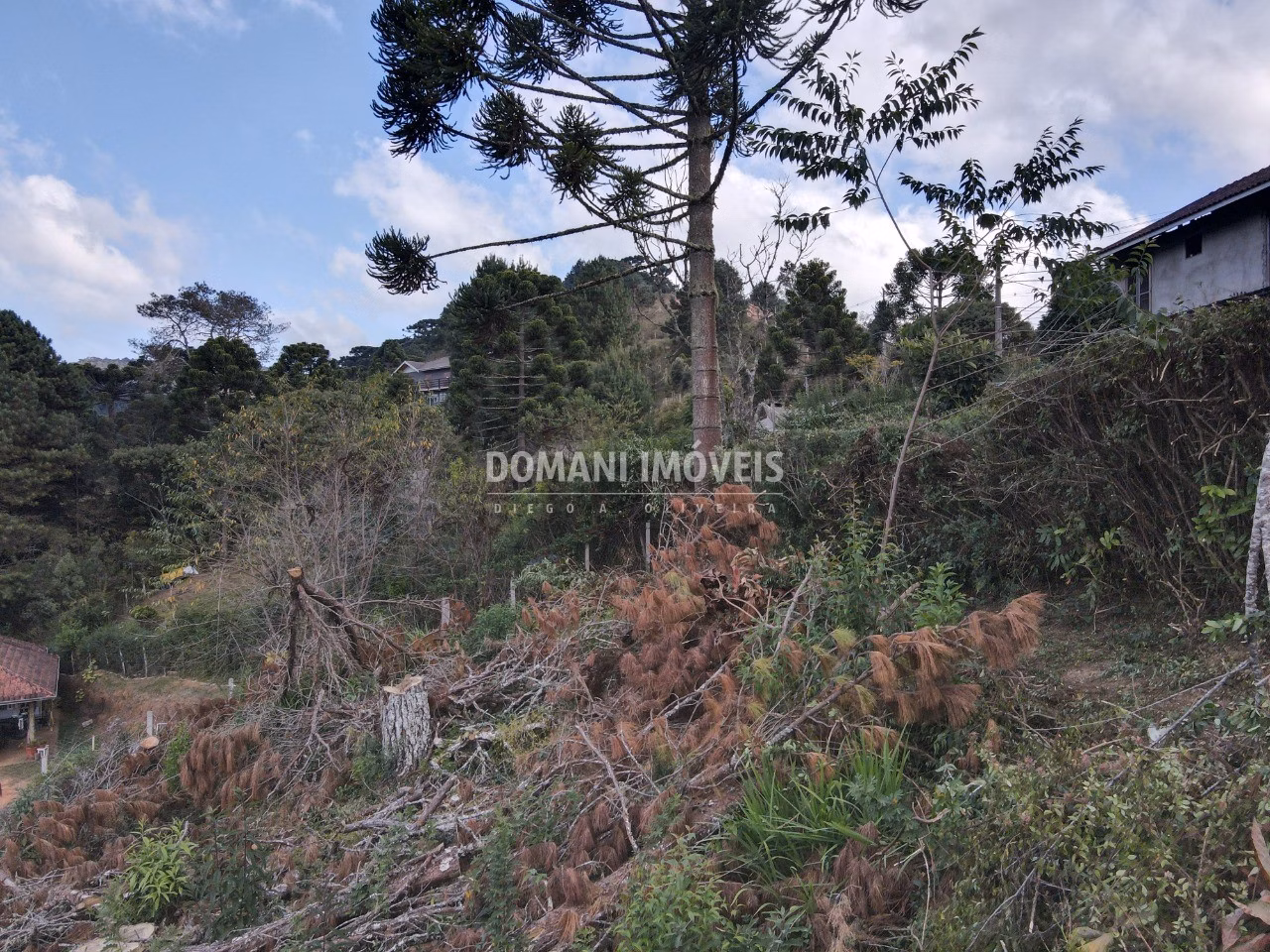 Plot of 1,110 m² in Campos do Jordão, SP, Brazil