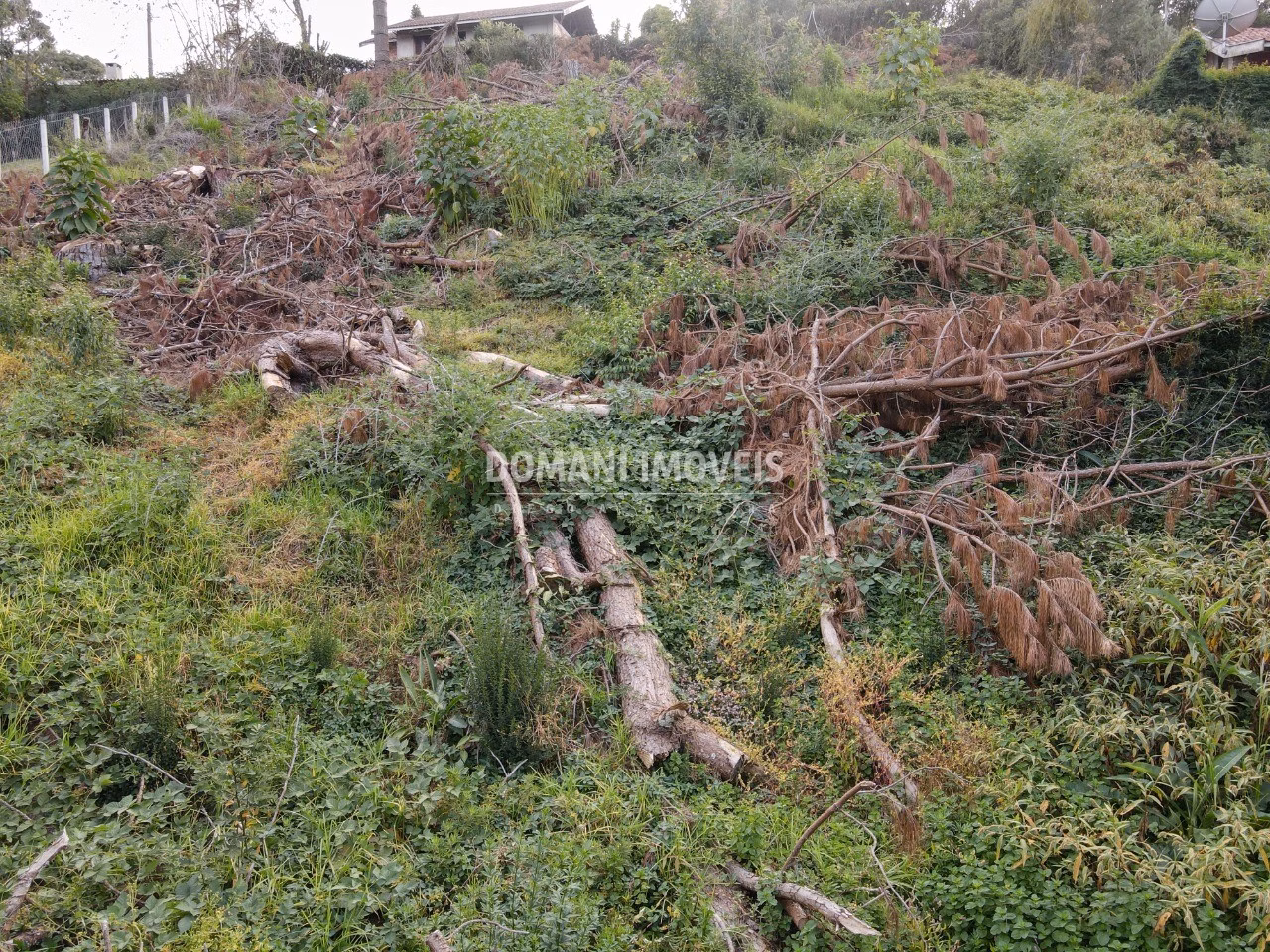 Plot of 1,110 m² in Campos do Jordão, SP, Brazil