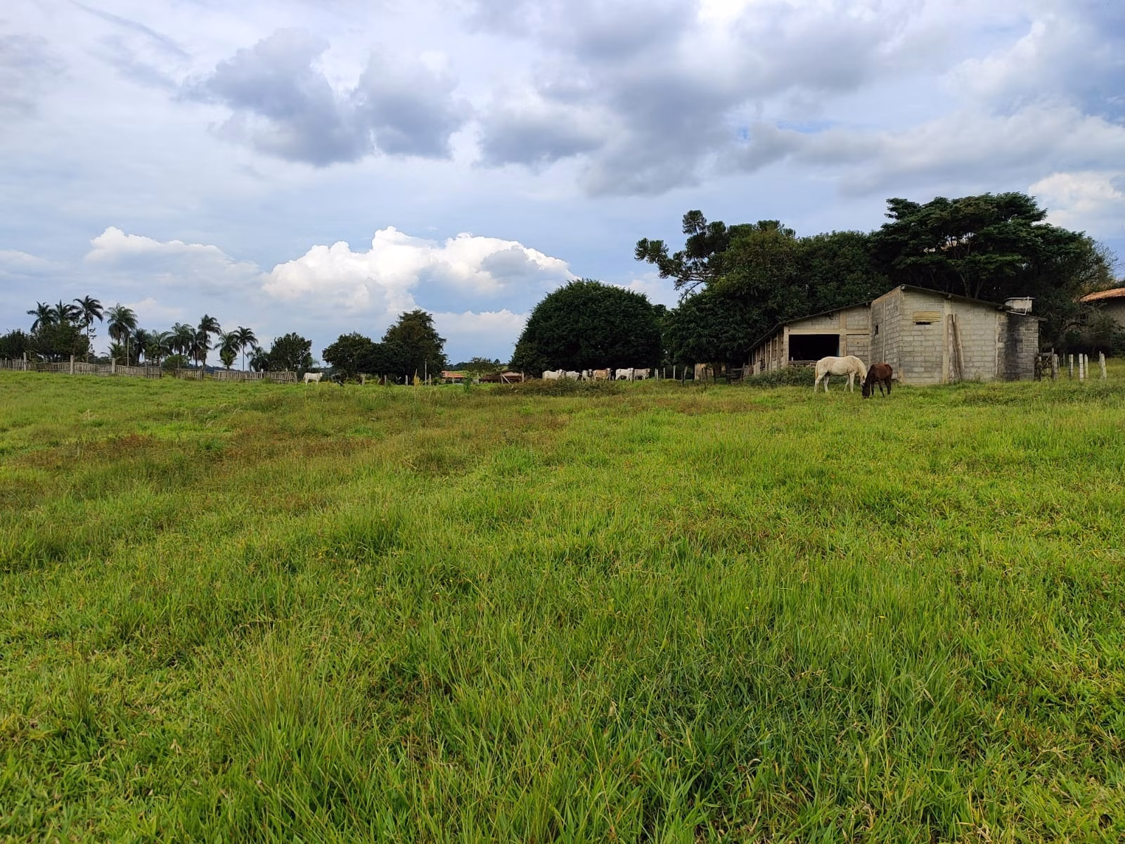 Sítio de 24 ha em Salto de Pirapora, SP