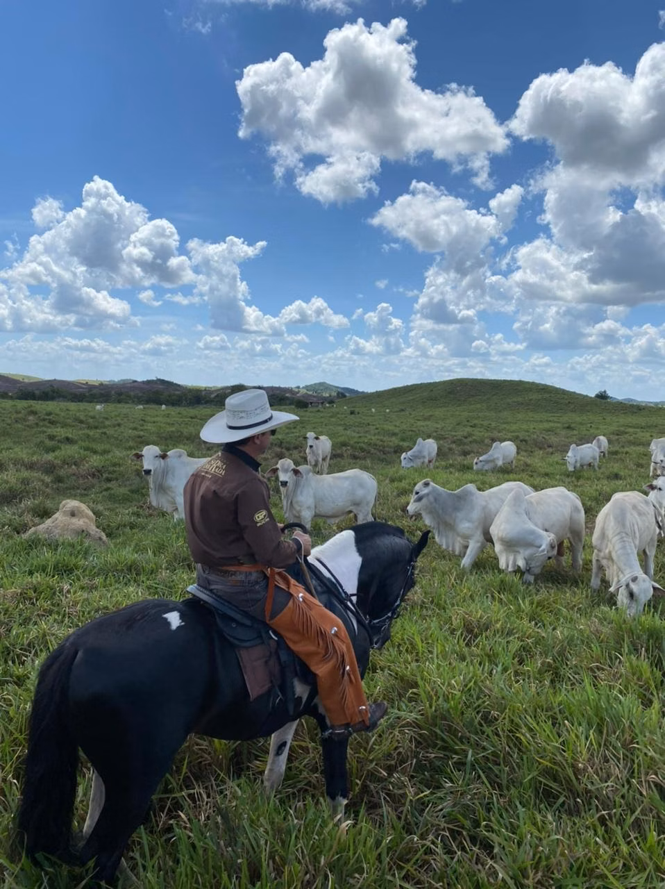 Fazenda de 6.000 ha em Santa Helena, MA