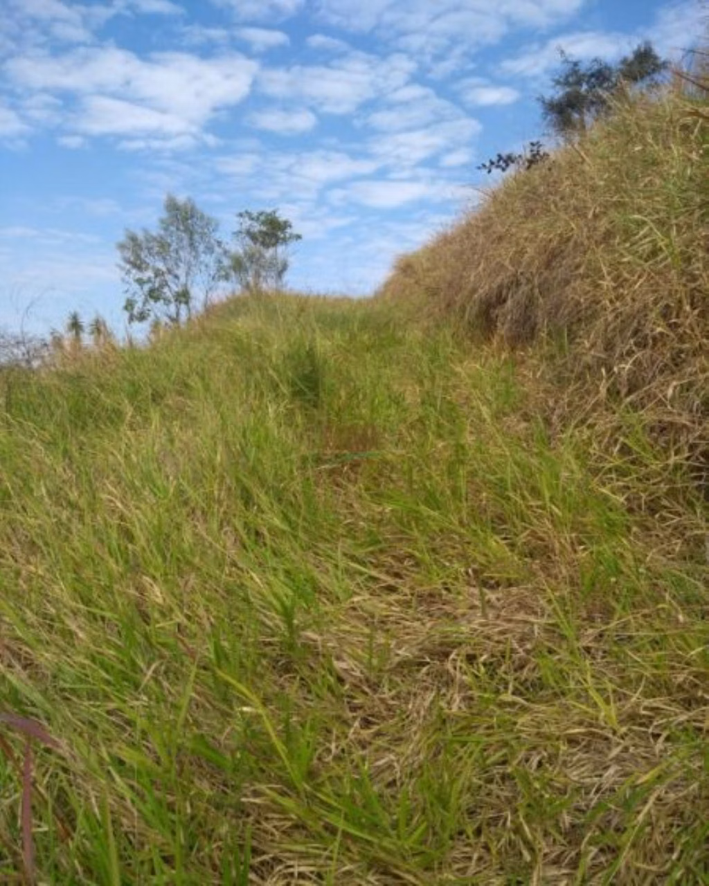 Plot of 1.600 m² in São José dos Campos, SP, Brazil