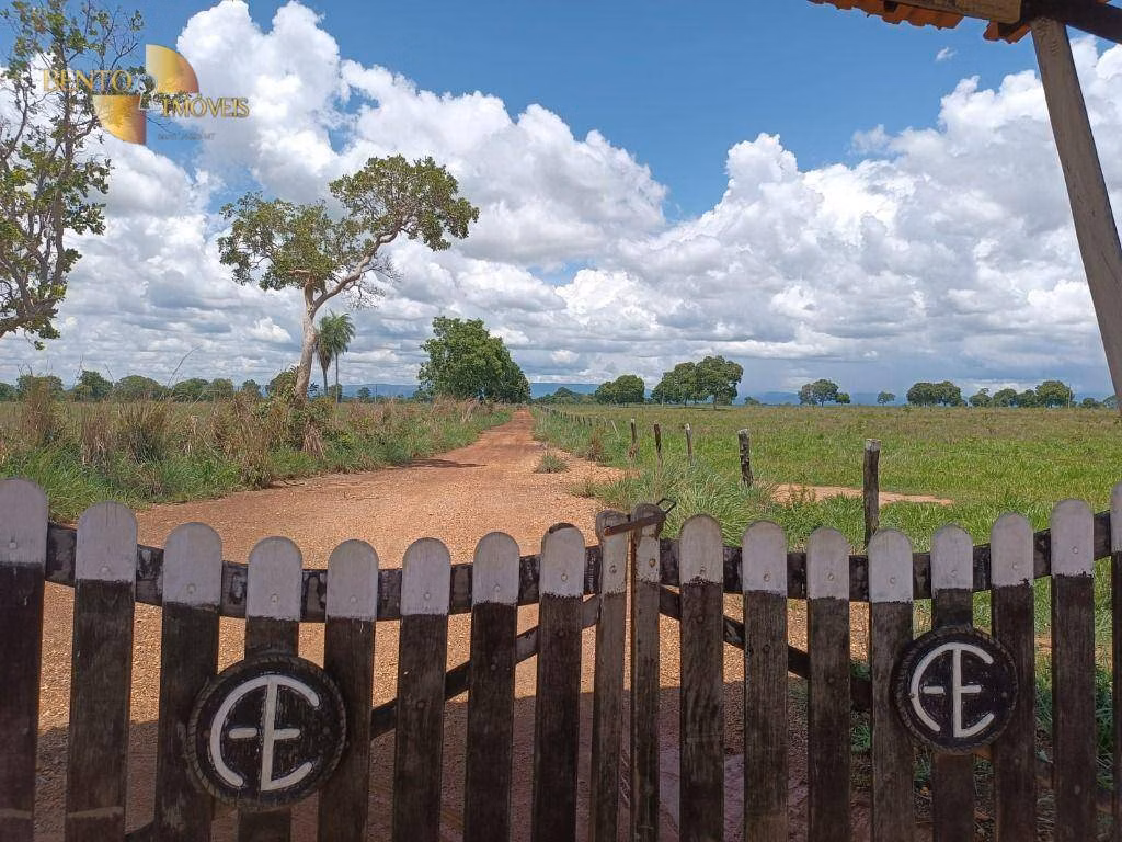 Farm of 1.730 acres in Poconé, MT, Brazil